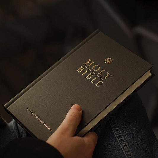 ESV Church Bible (Black) - Provision For The Vision